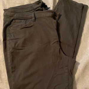 Lane Bryant Venezia Pants